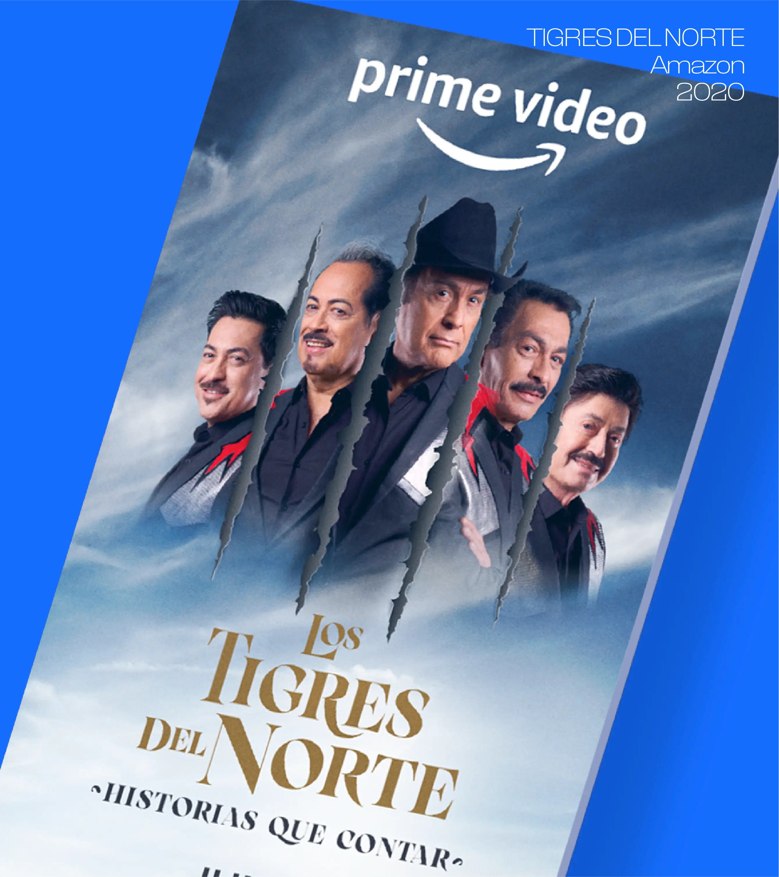 Proyecto Los tigres del norte